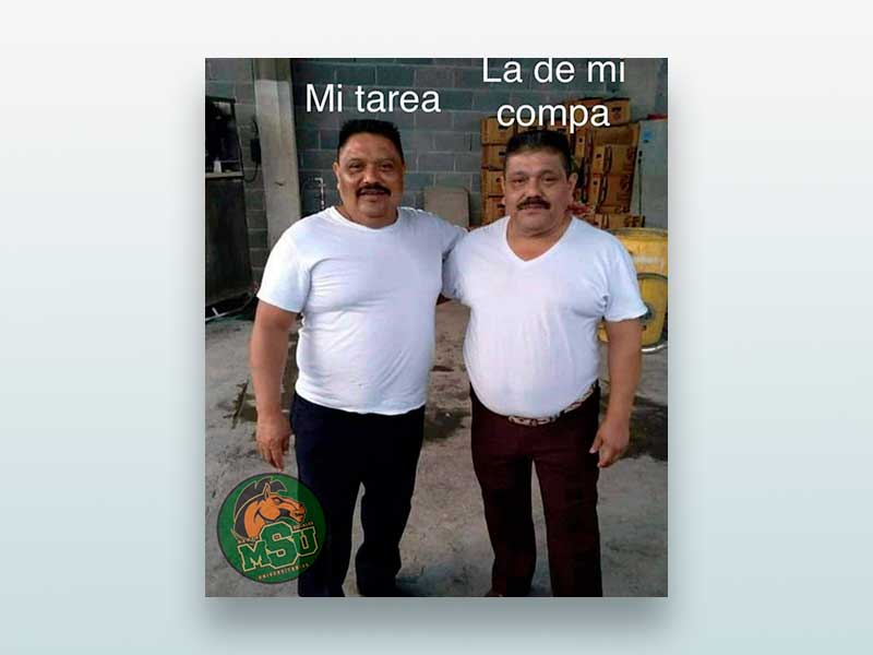 Mi tarea